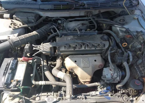 2001 Honda Accord 2.3 Ex from USA, damaged, VIN 1HGCG32571A027065